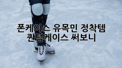 폰케이스 유목민 정착템✨ 퀀텀케이스 써보니!